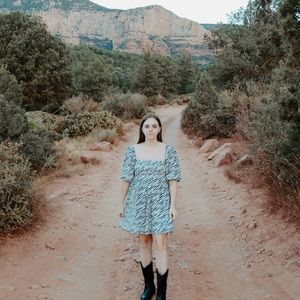 Faithfull The Brand Alina | Zebra Print Dress